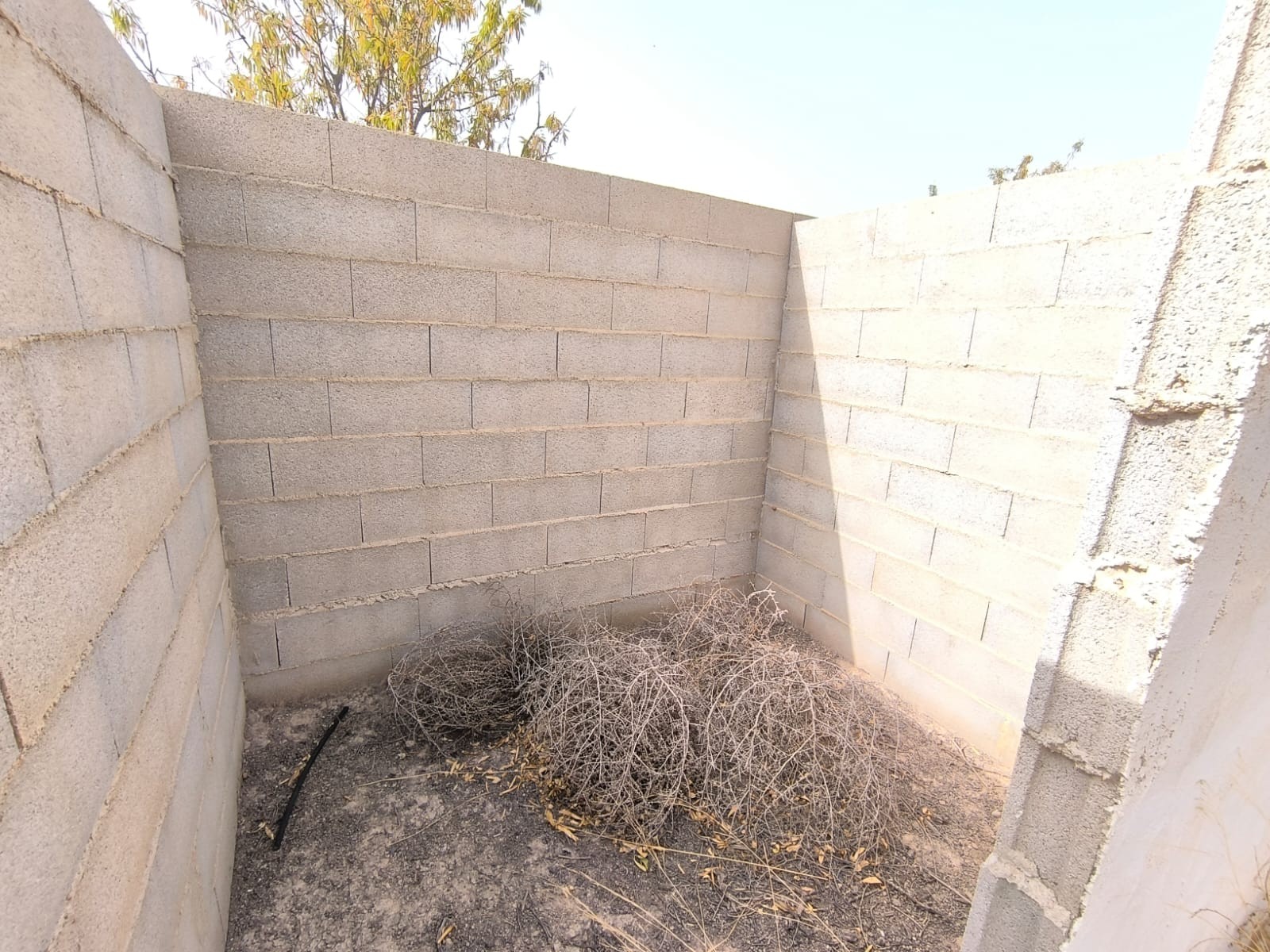 Pool area in land for sale in Yecla