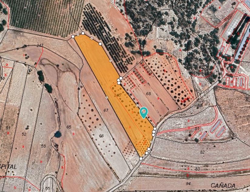 Rural building parcel with an olive grove in an agricultural area north of Monovar, with over 17