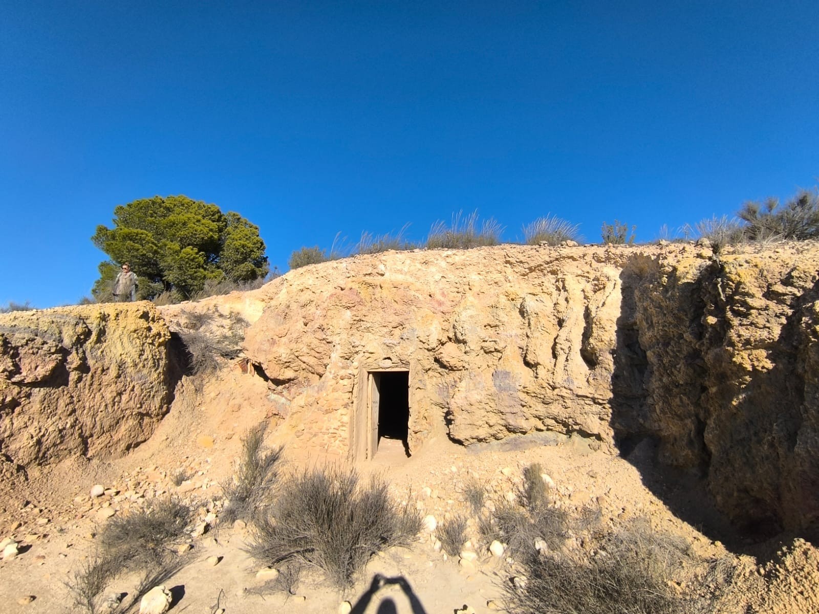 Dining area in land for sale in Jumilla