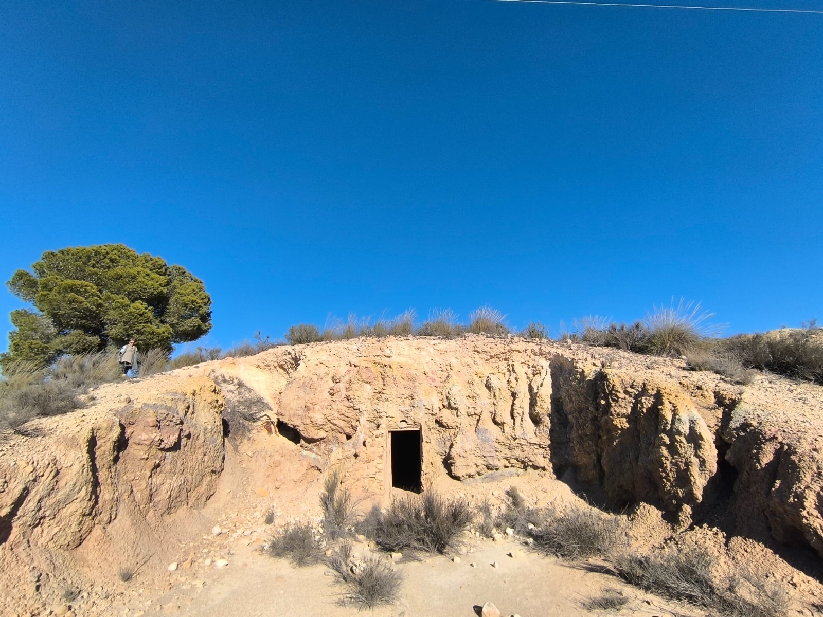 Bedroom in land for sale in Jumilla