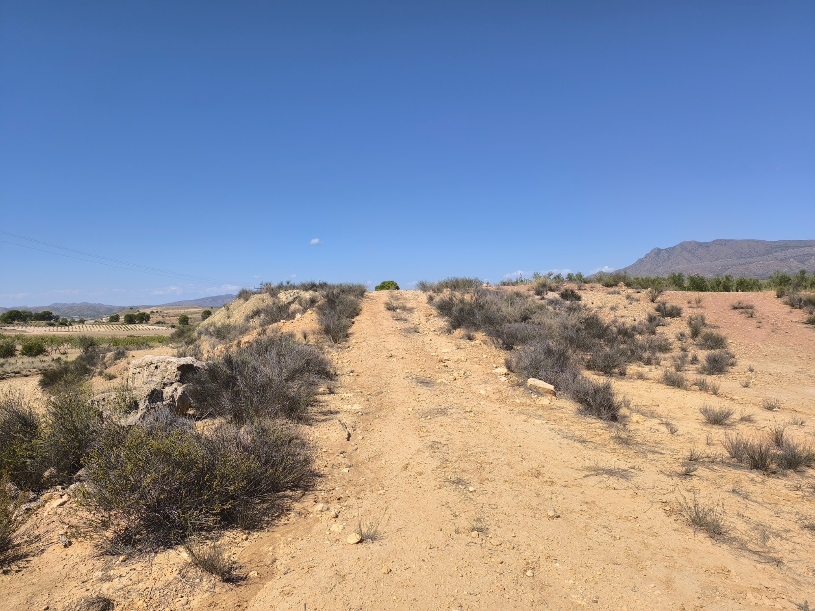 Building plot for sale in the peaceful hamlet of Cañada del Trigo, (Jumilla), surrounded by vineyard