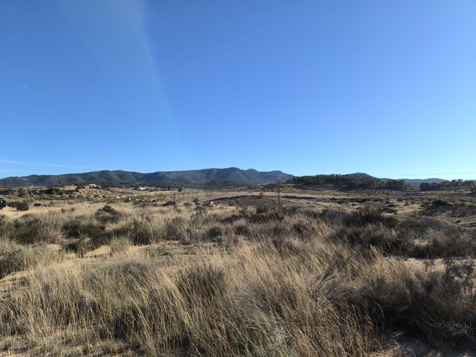 Garden in land for sale in Jumilla