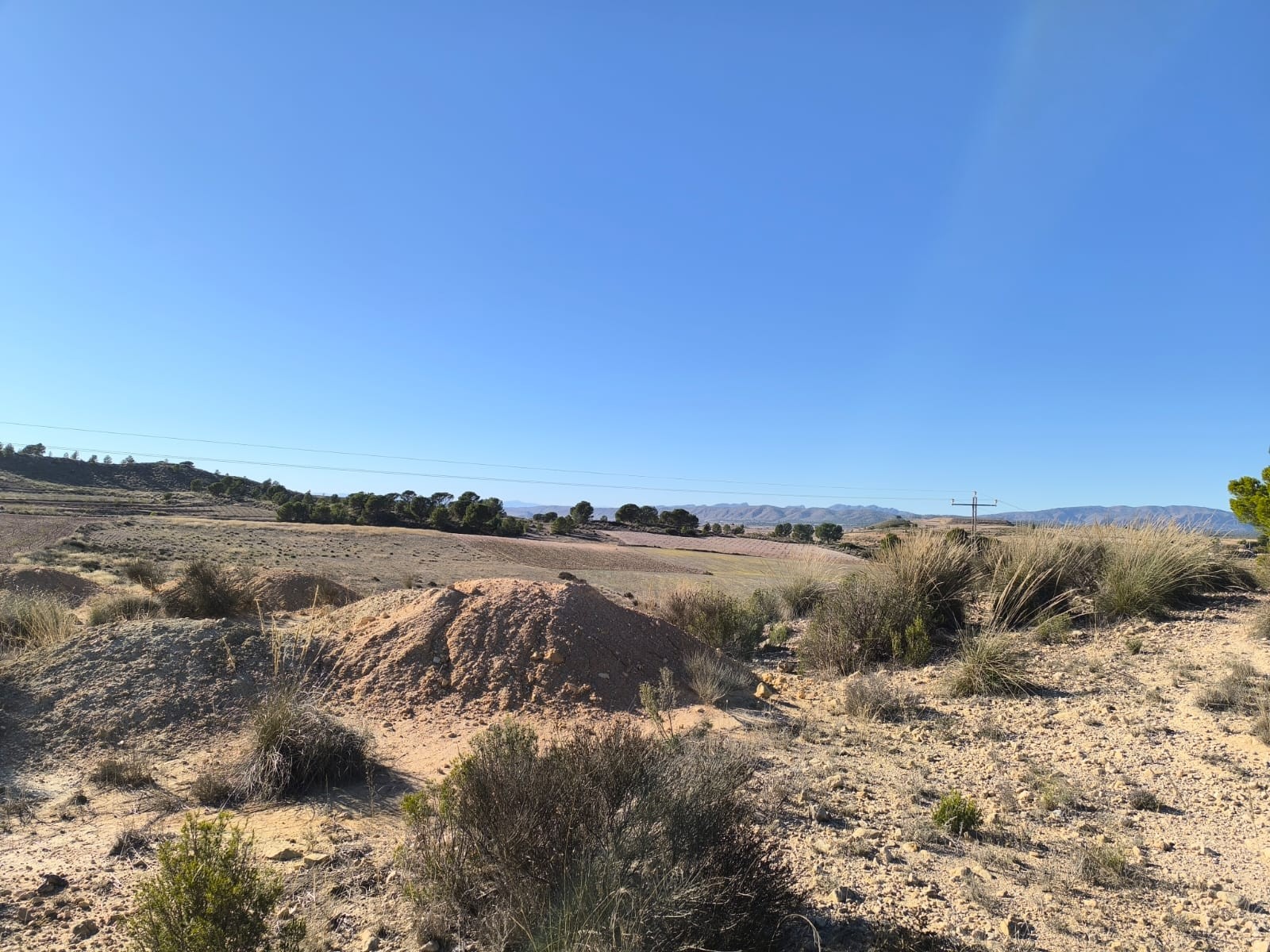 Dining area in land for sale in Jumilla