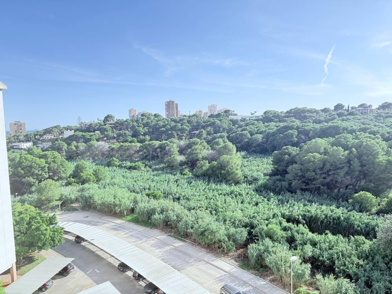 Bathroom in apartment for sale in Orihuela Costa