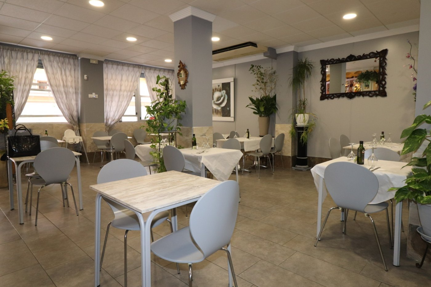 Garden in commercial for sale in Torrevieja