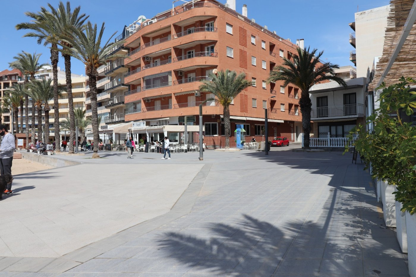 Pool area in commercial for sale in Torrevieja