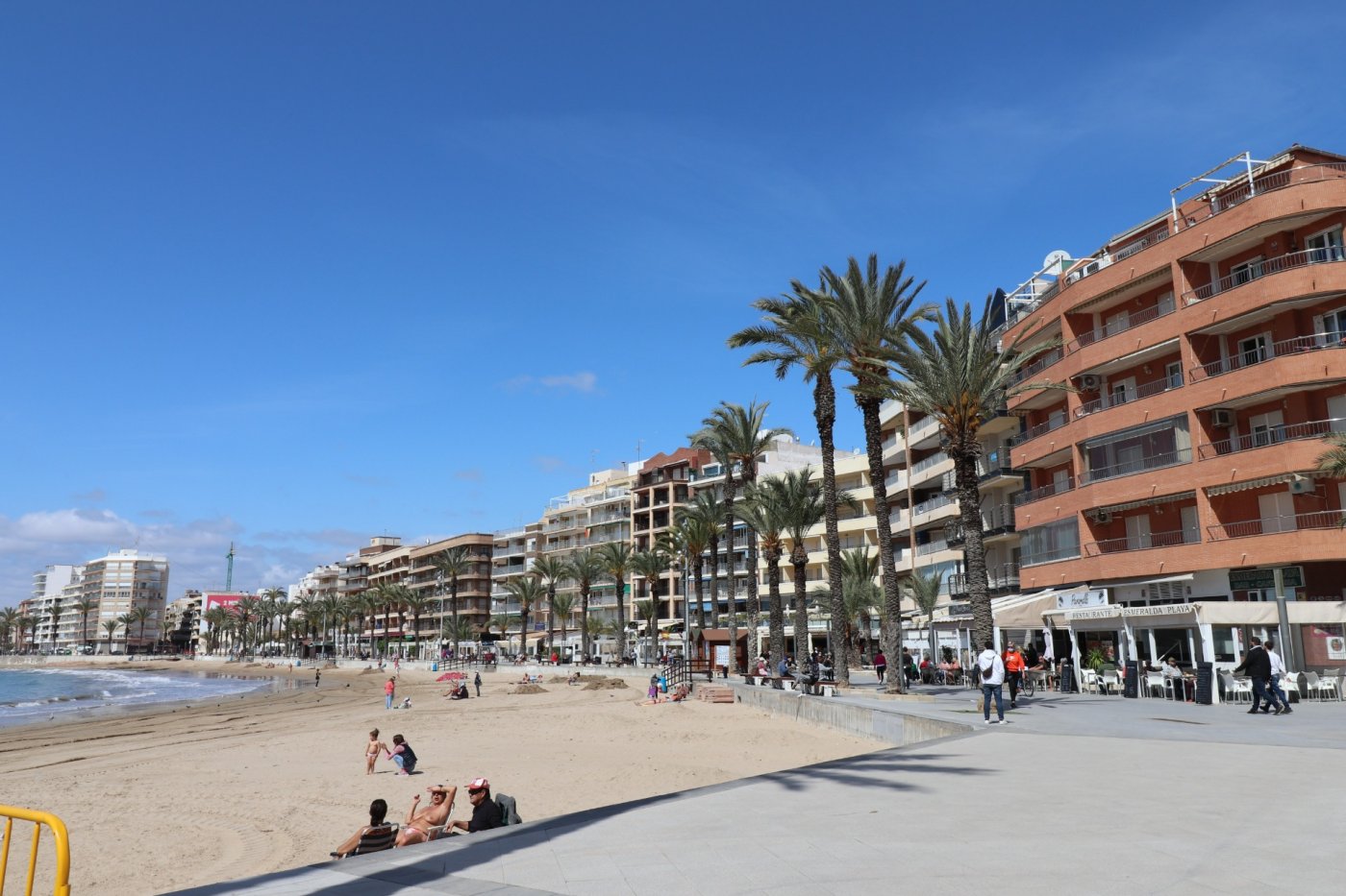 Garden in commercial for sale in Torrevieja