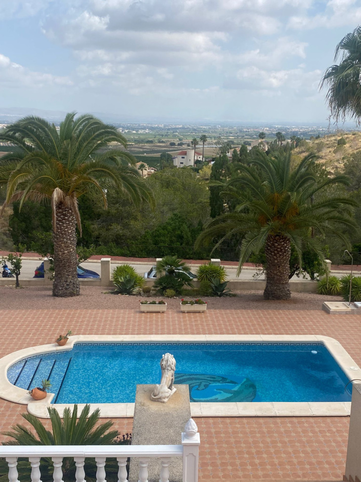 Terrace in villa for sale in Algorfa