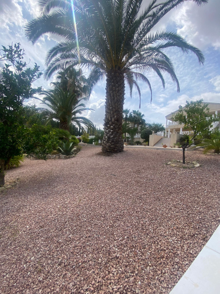 Dining area in villa for sale in Algorfa