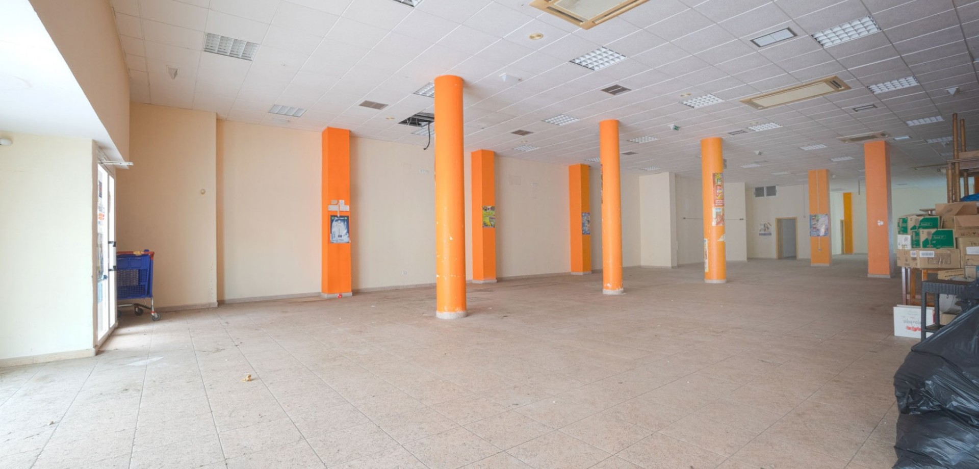 Garden in commercial for sale in Torrevieja