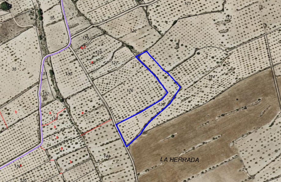 Plot of 9157 m2 for sale in Pinoso