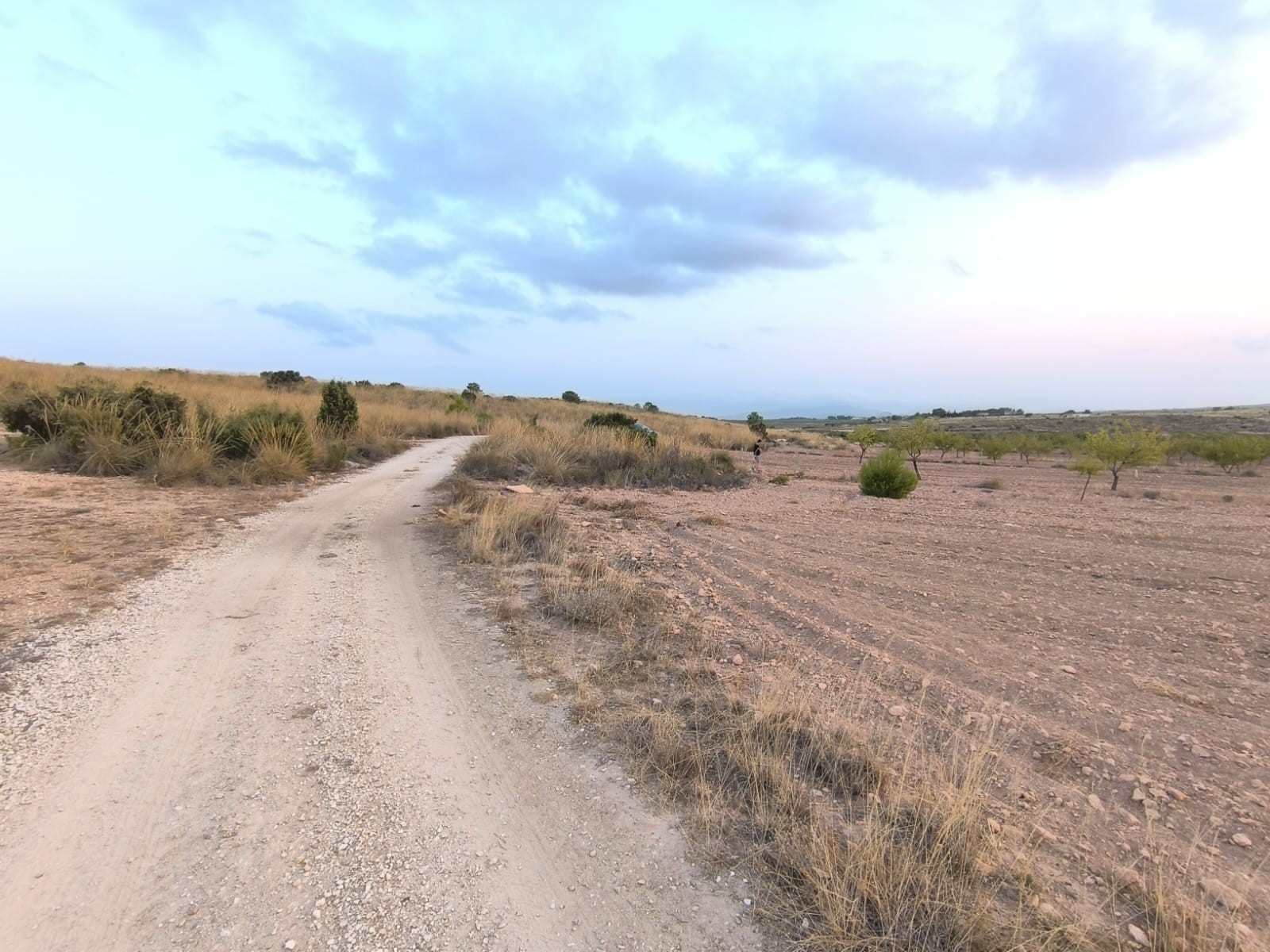 Discover this Building Plot of 10354 m2 for sale in Pinoso for a bargain price