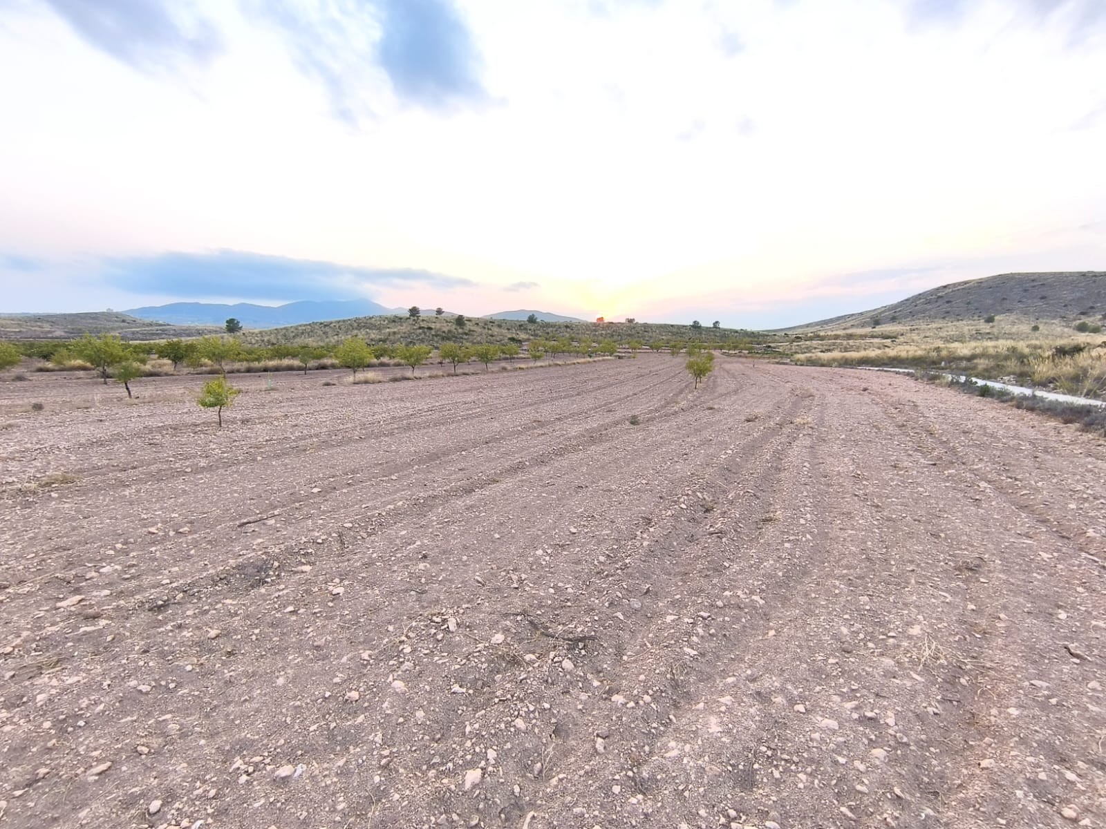 Discover this Building Plot of 10354 m2 for sale in Pinoso for a bargain price