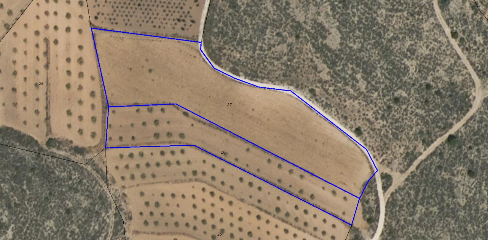 Pool area in land for sale in Pinoso