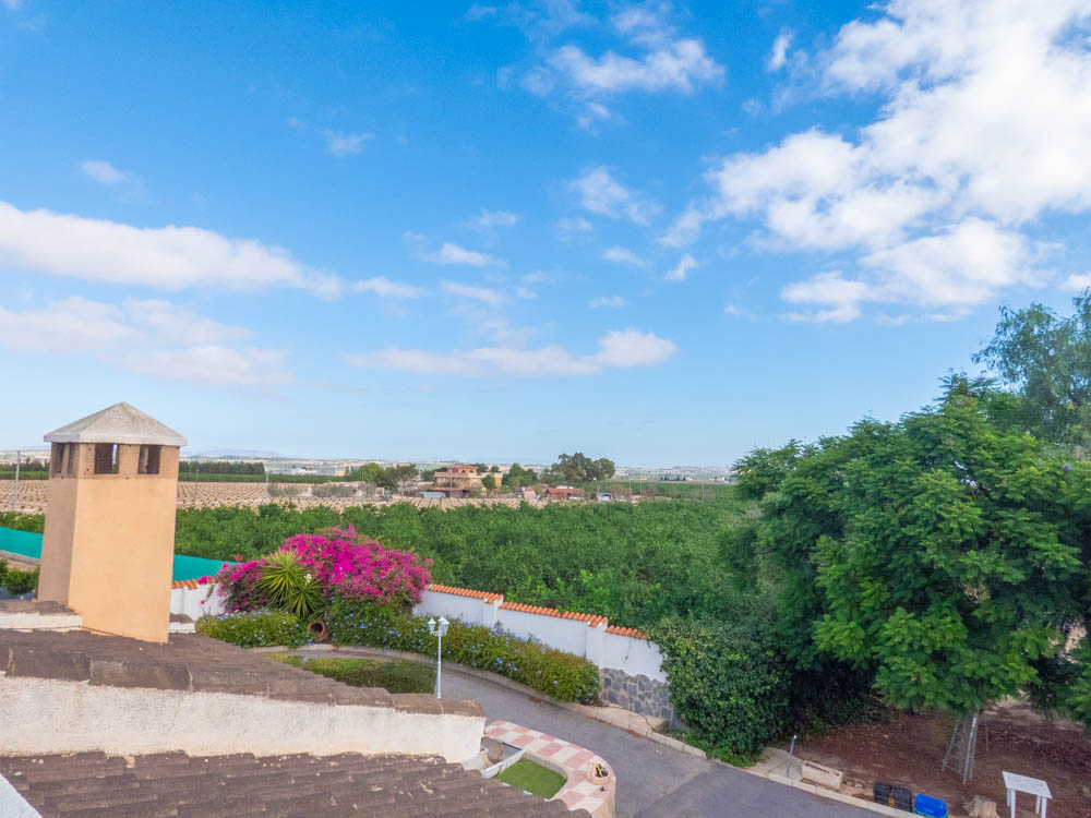 Pool area in villa for sale in San Miguel de Salinas
