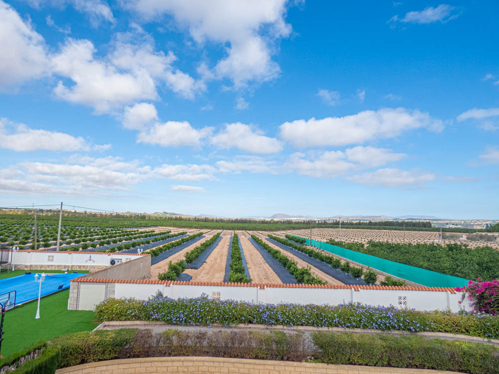 Garden in villa for sale in San Miguel de Salinas