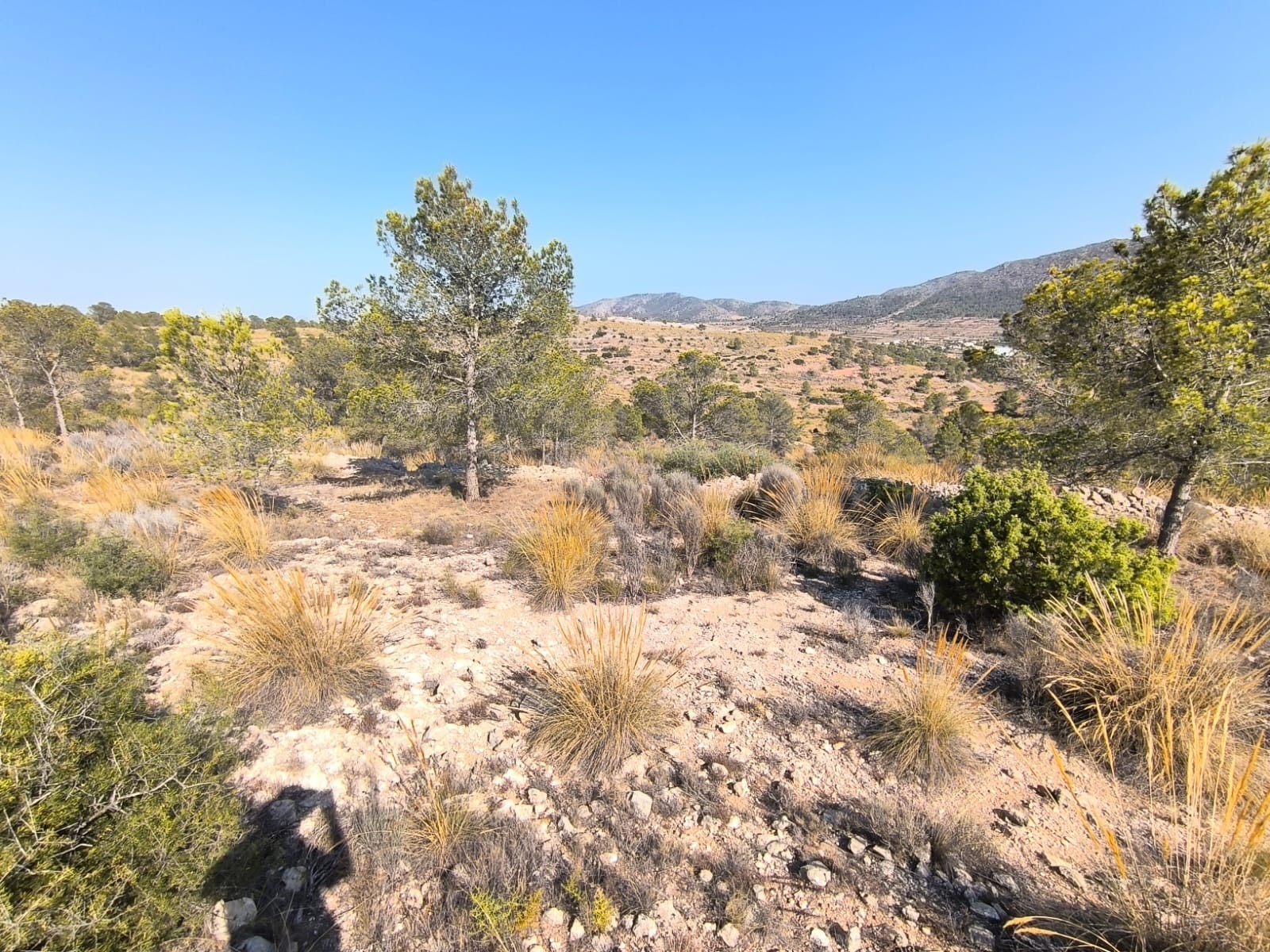 Are you looking to building your own dream in a beautiful setting, surrounded by Mediterranean natur