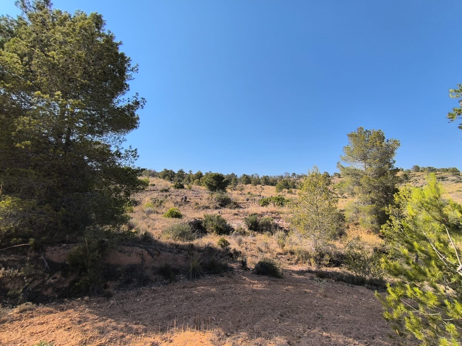 Are you looking to building your own dream in a beautiful setting, surrounded by Mediterranean natur