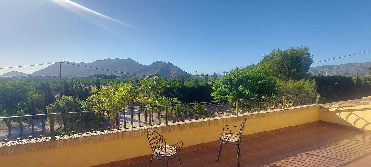 Garden in villa for sale in Callosa de Segura