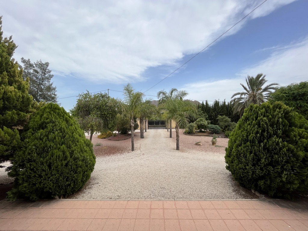 Garden in villa for sale in Callosa de Segura