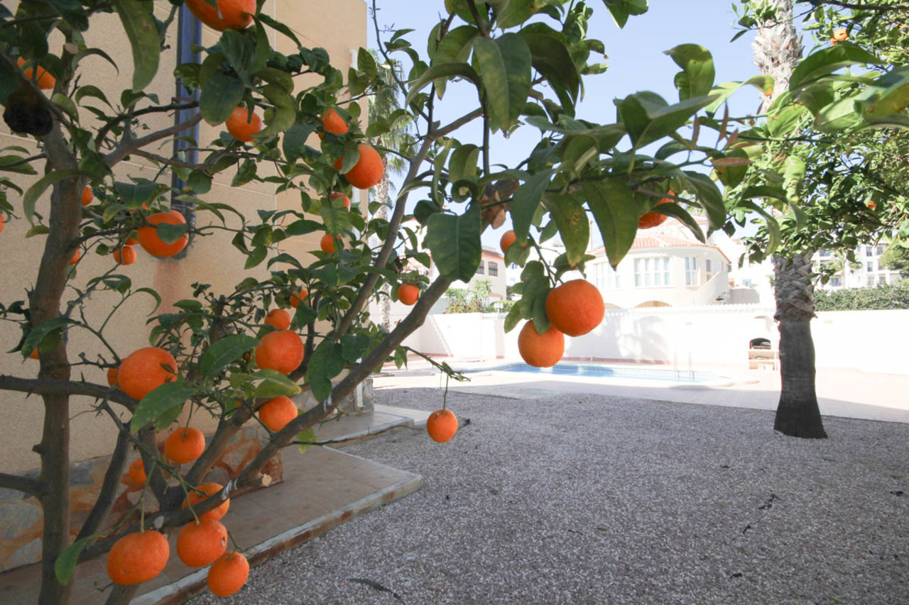Pool area in villa for sale in La Zenia