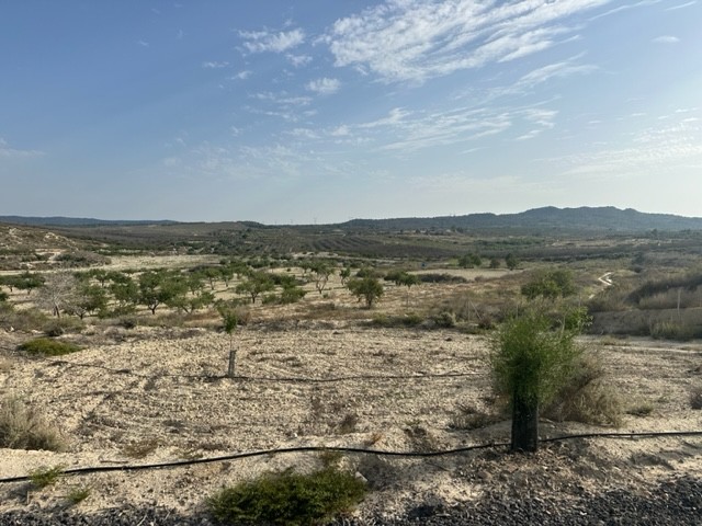 Here we have a plot of land for sale located in San Onofre and El Alcachofar near to Torremendo and