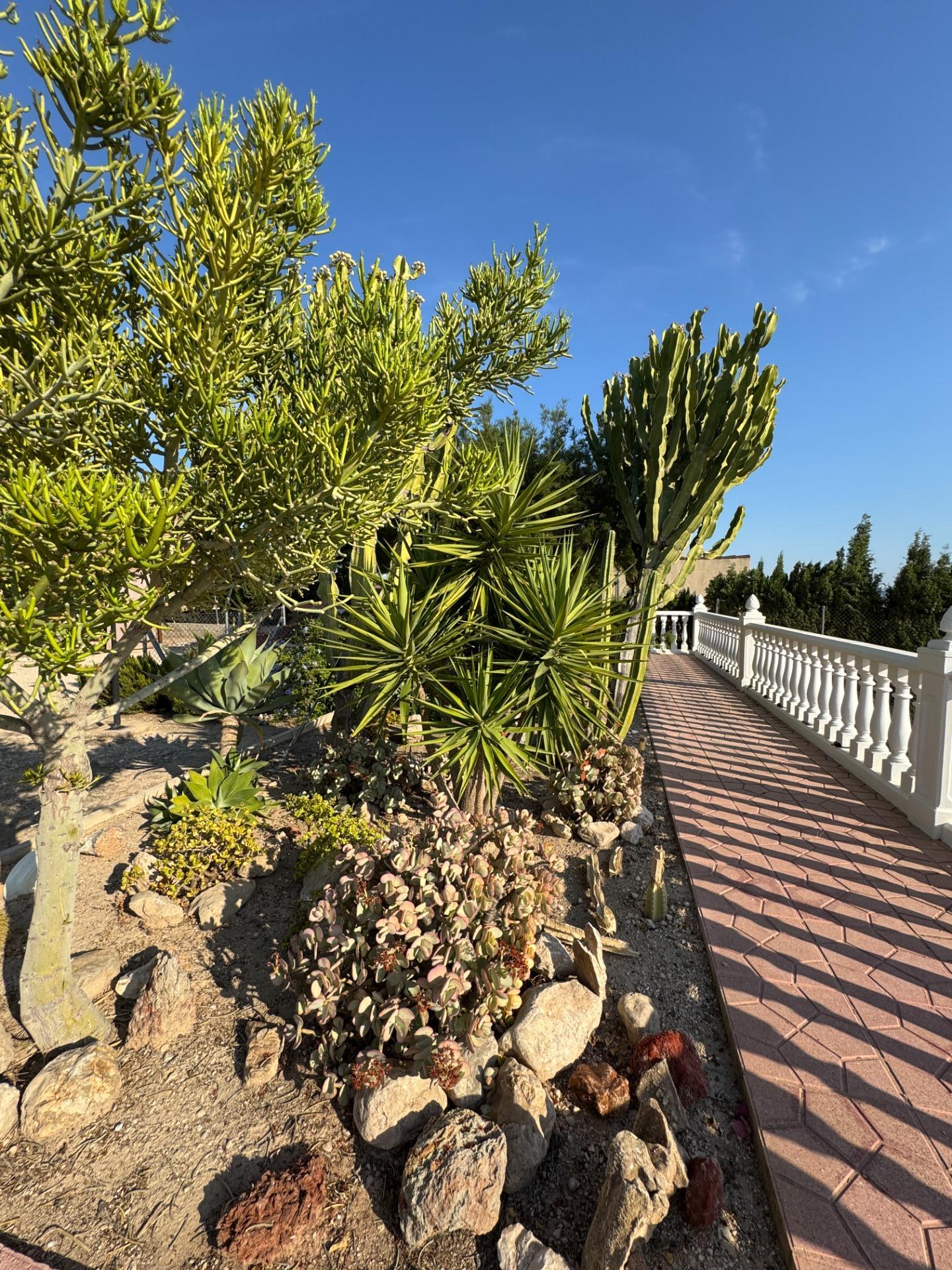 Pool area in villa for sale in Albatera