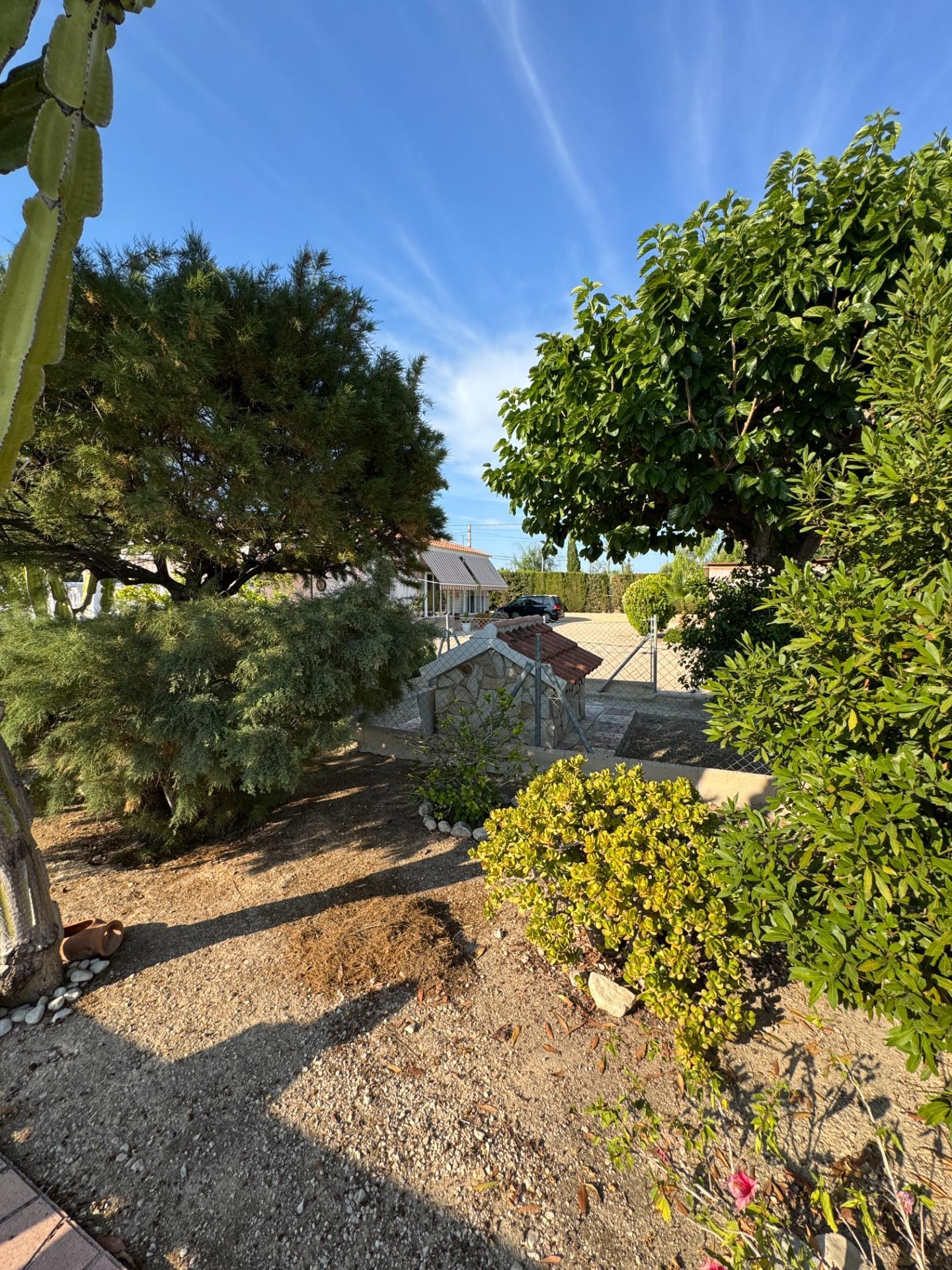 Pool area in villa for sale in Albatera