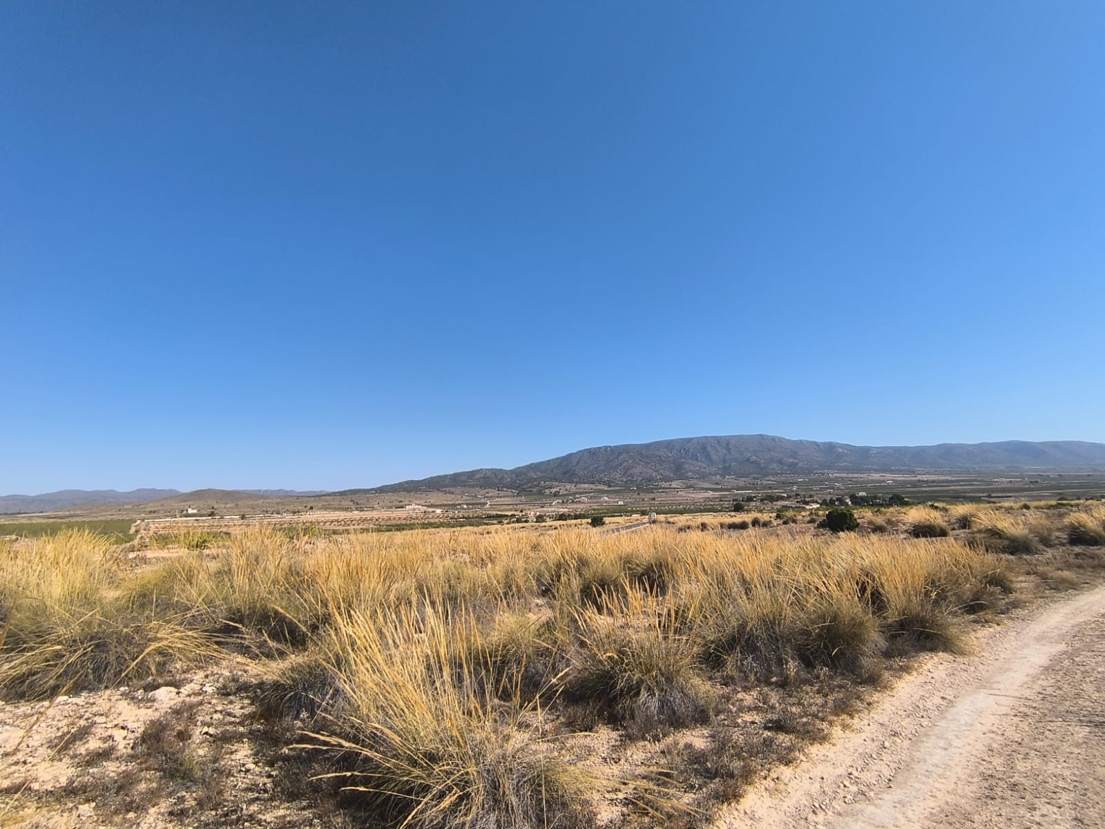 Terrace in land for sale in Pinoso