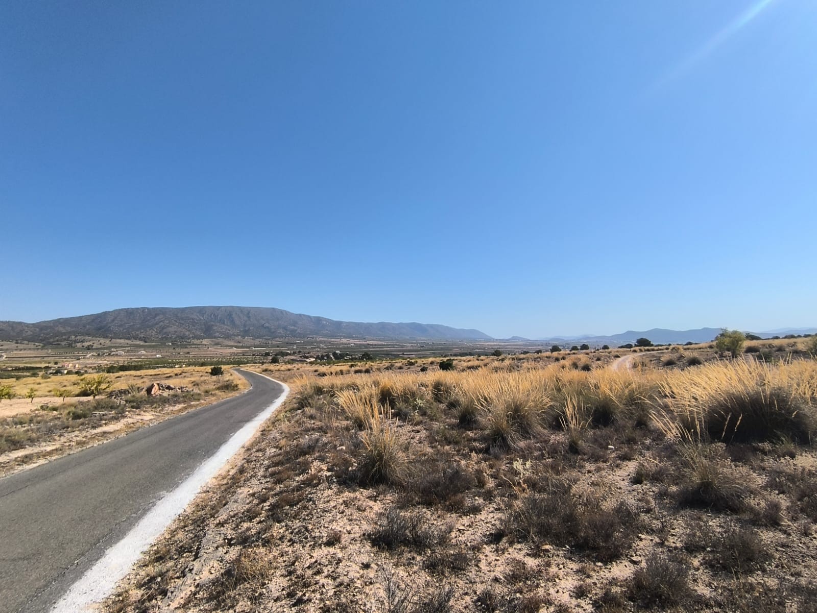 Garden in land for sale in Pinoso