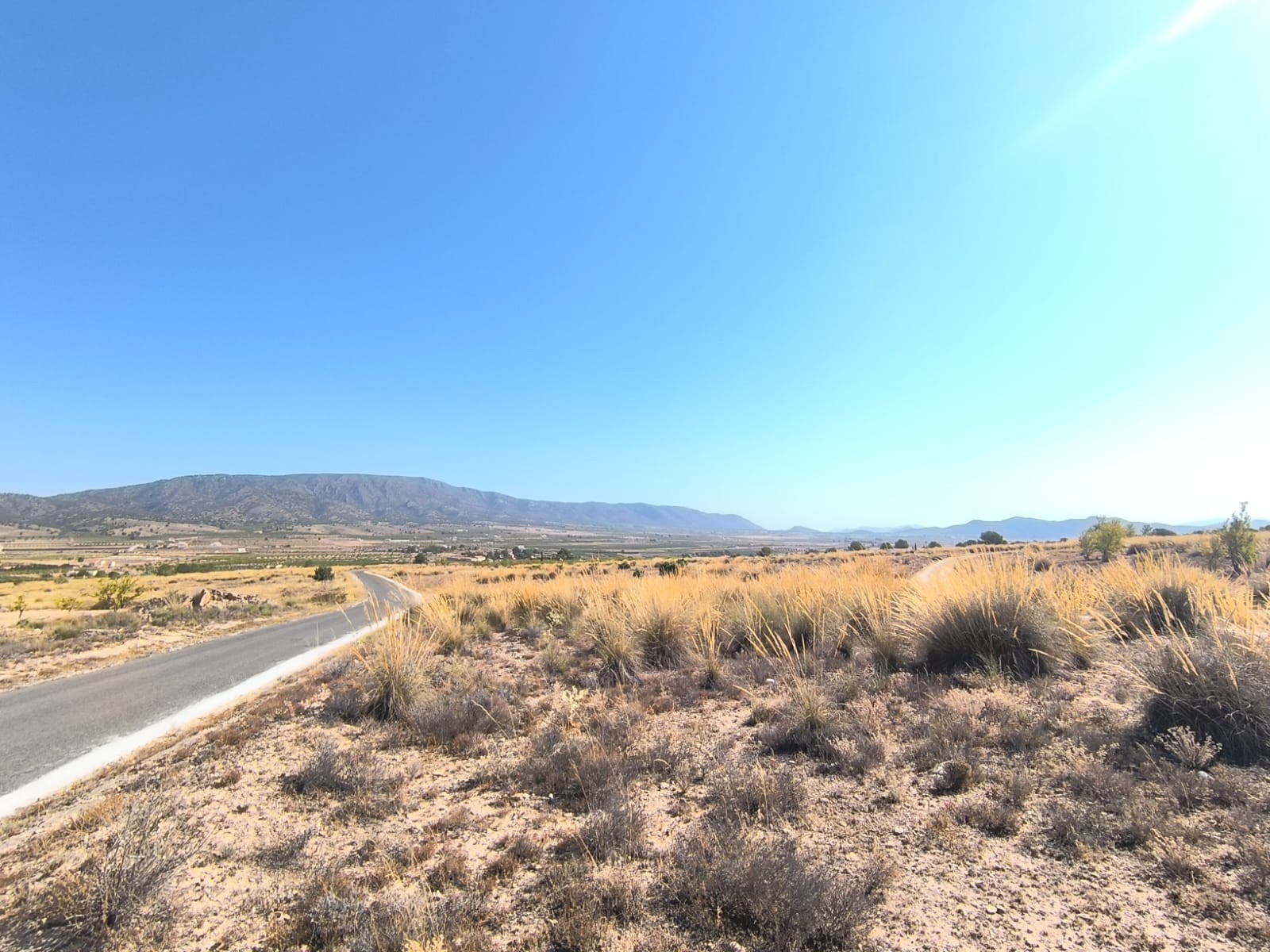 Dining area in land for sale in Pinoso