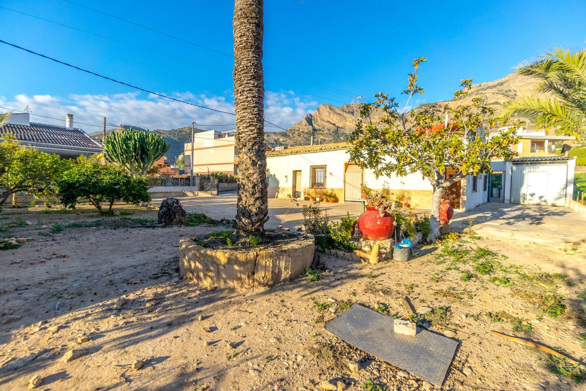 Exterior view in finca for sale in Orihuela