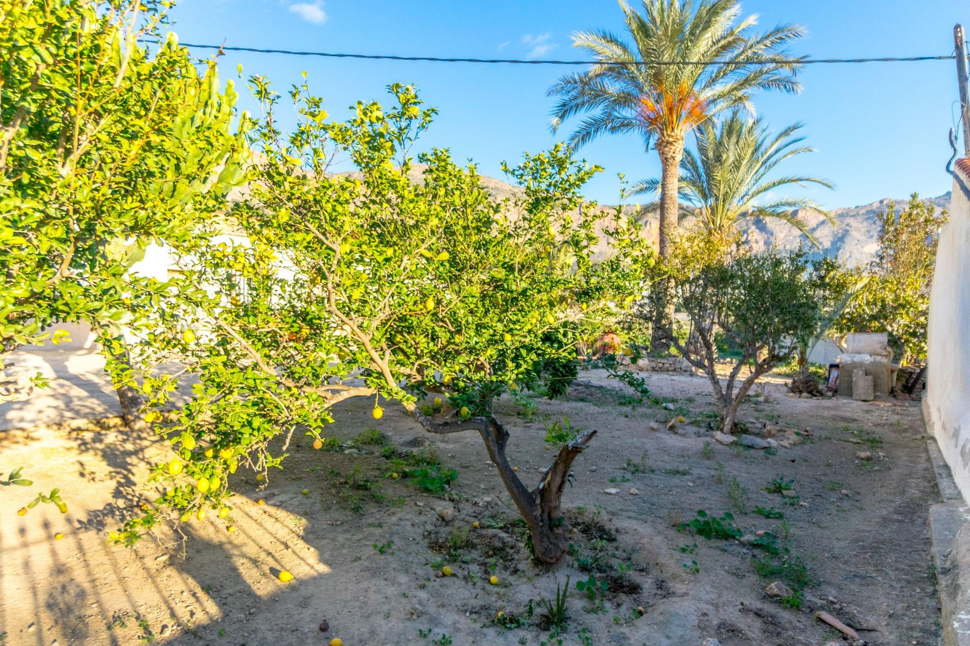 Kitchen in finca for sale in Orihuela