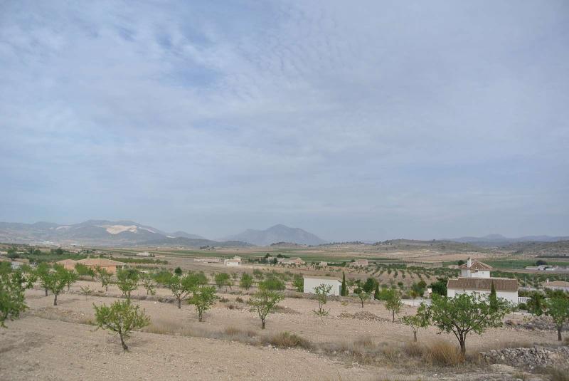 Kitchen in land for sale in Jumilla