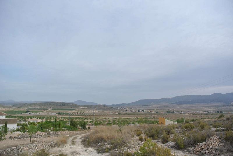 Master bedroom in land for sale in Jumilla