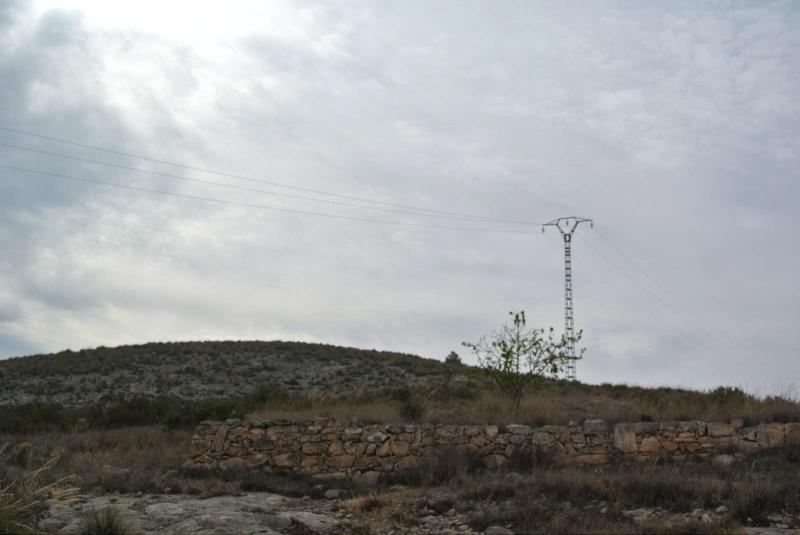 Garden in land for sale in Jumilla