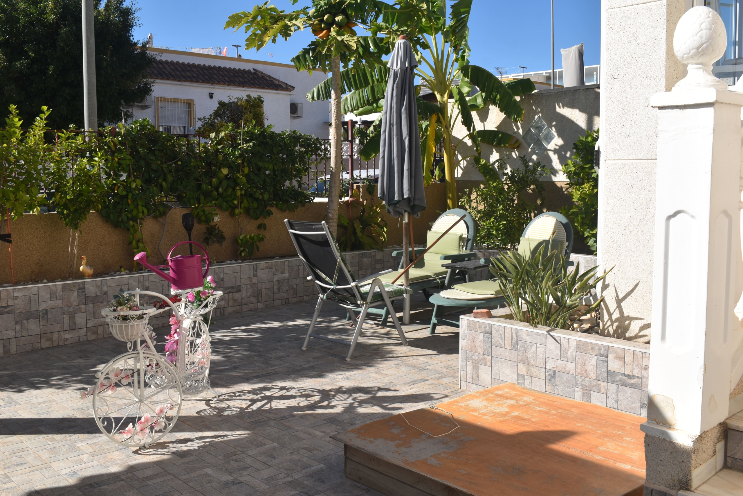 Garden in villa for sale in San Fulgencio