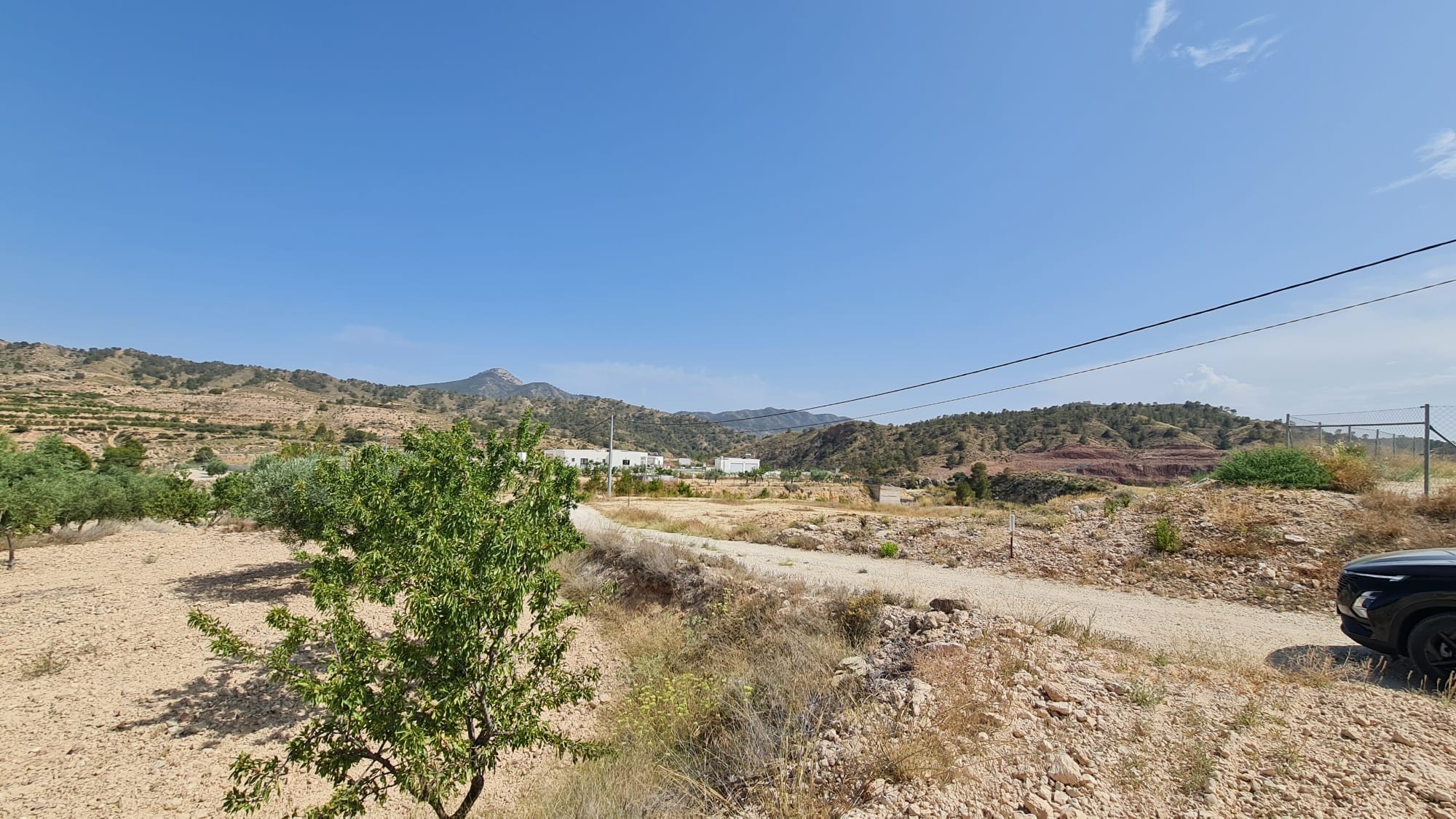 Garden in land for sale in Abanilla