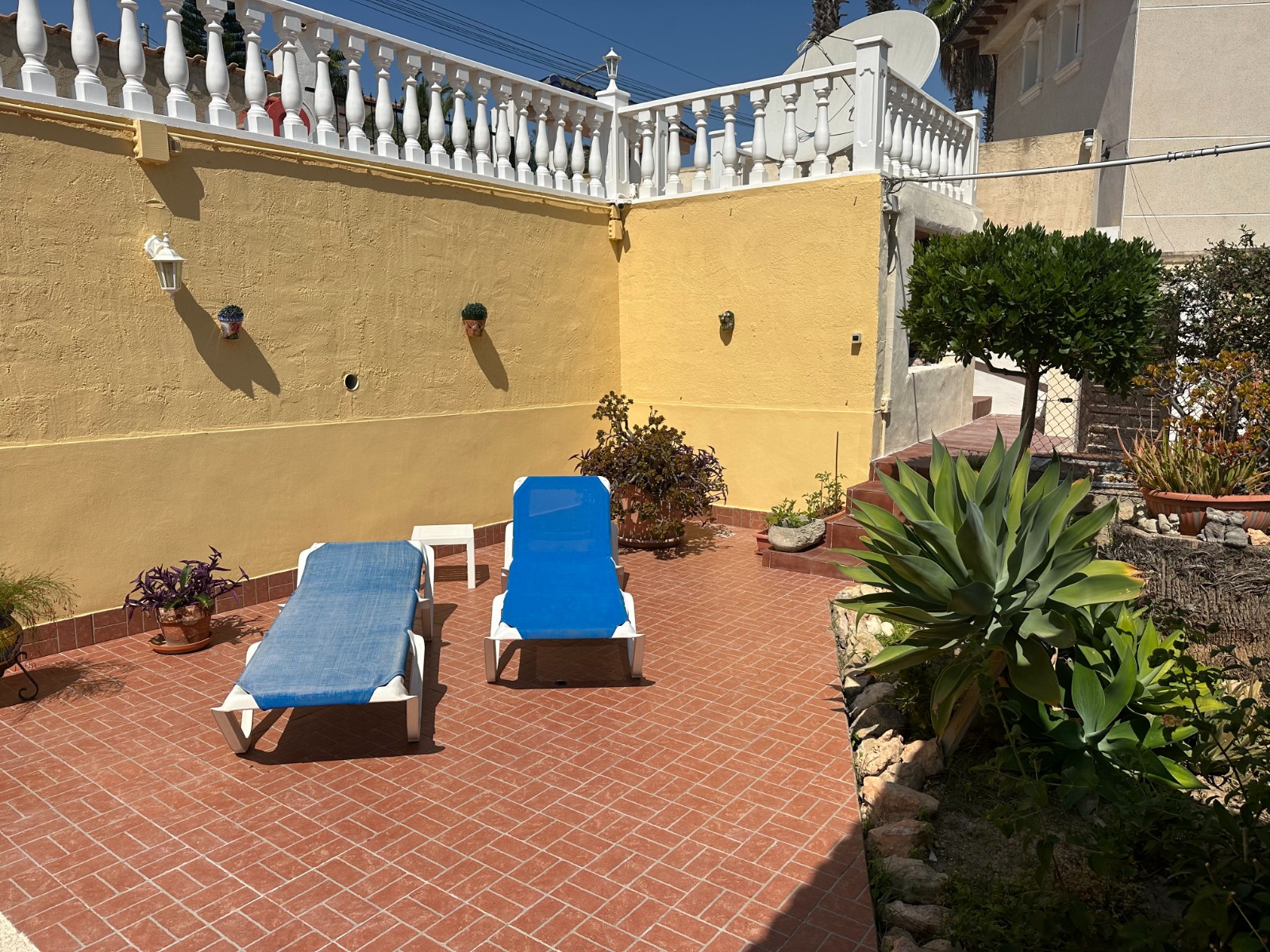 Garden in villa for sale in Algorfa