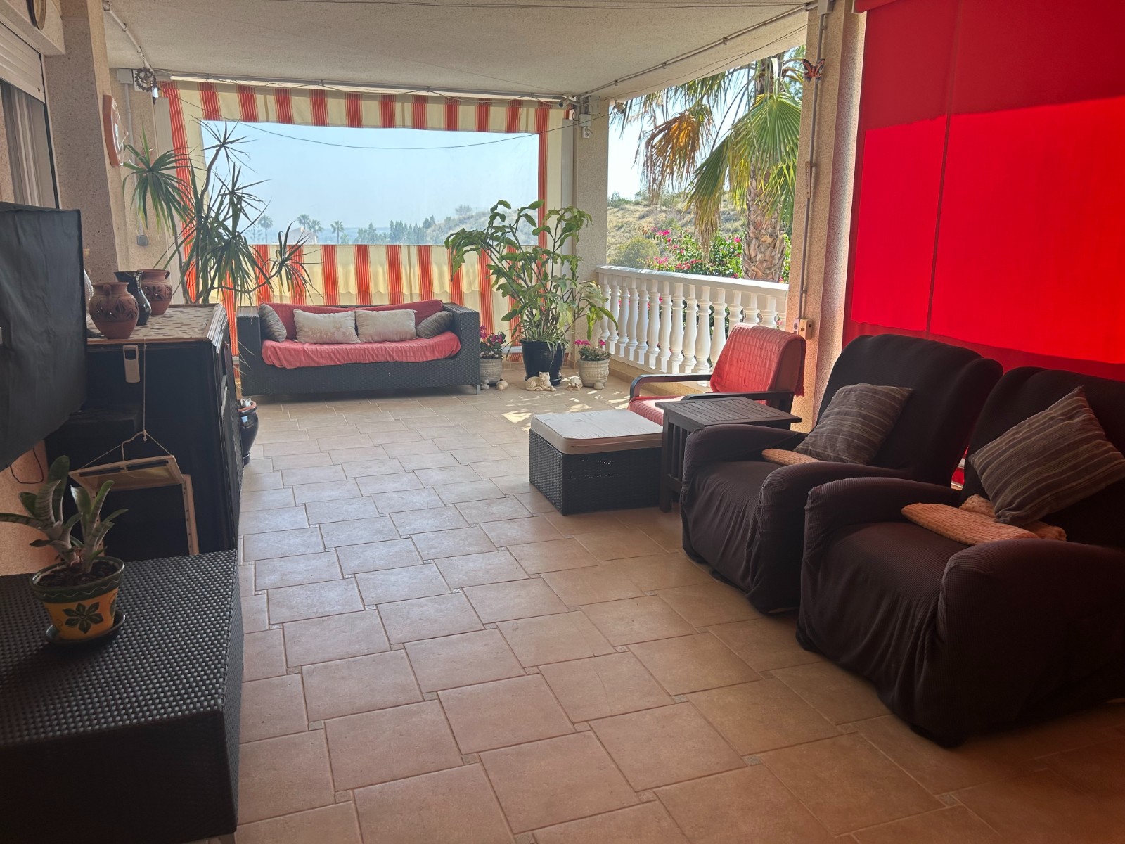 Garden in villa for sale in Algorfa