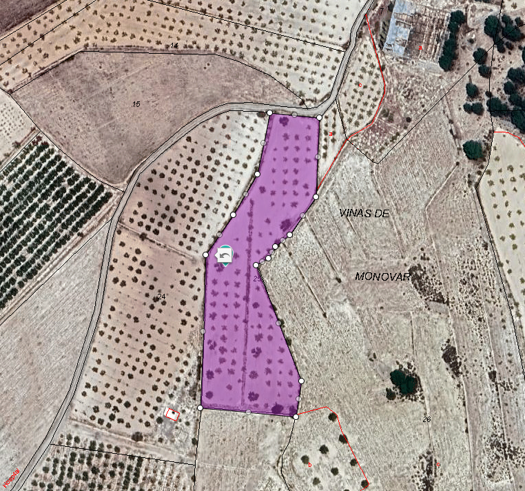 Exterior view in land for sale in Monóvar/Monóver