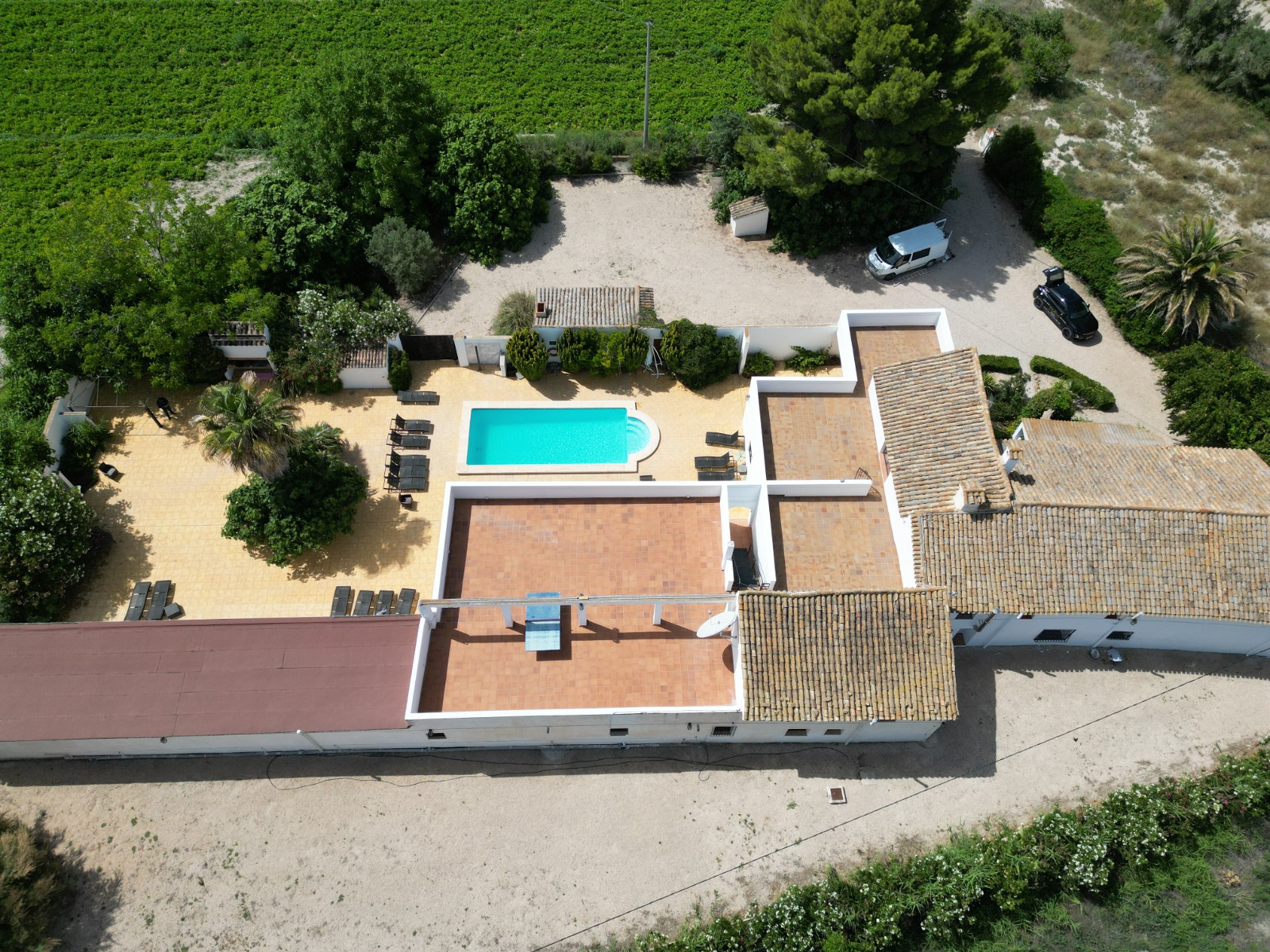 Exterior view in villa for sale in Villena