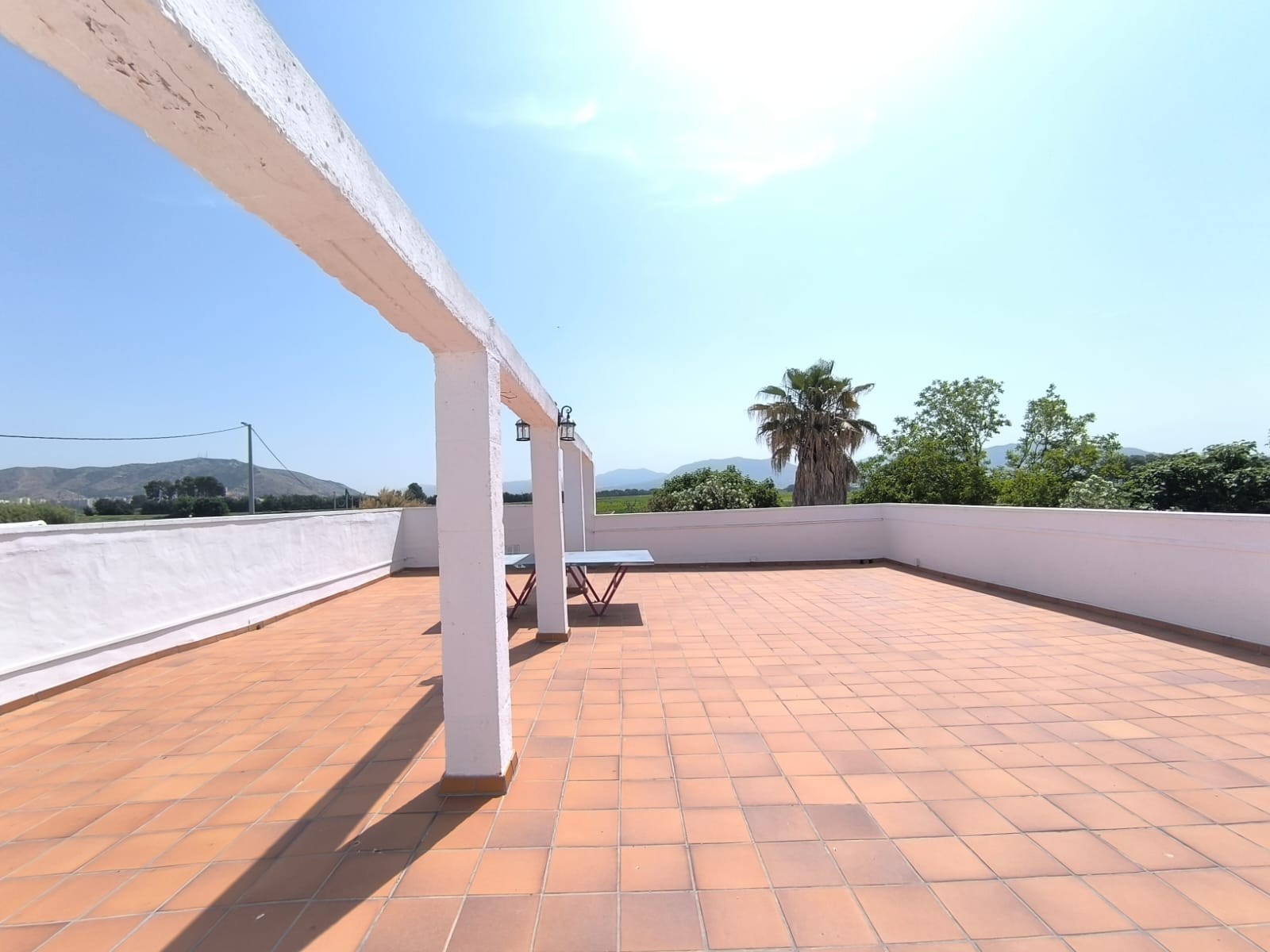 Garden in villa for sale in Villena