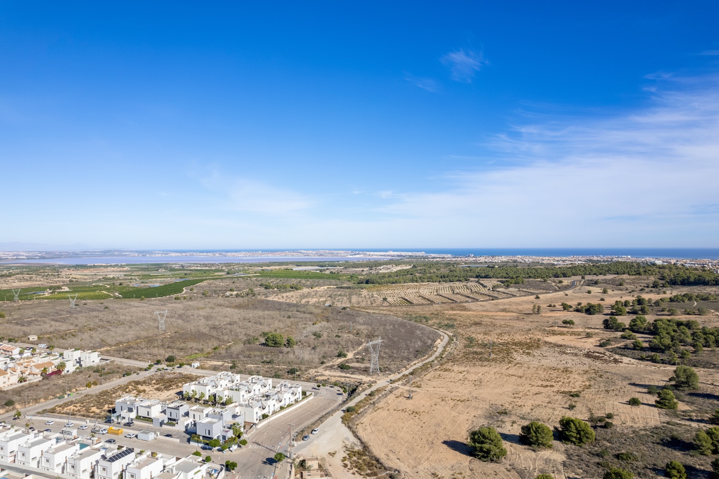 Garden in villa for sale in San Miguel de Salinas