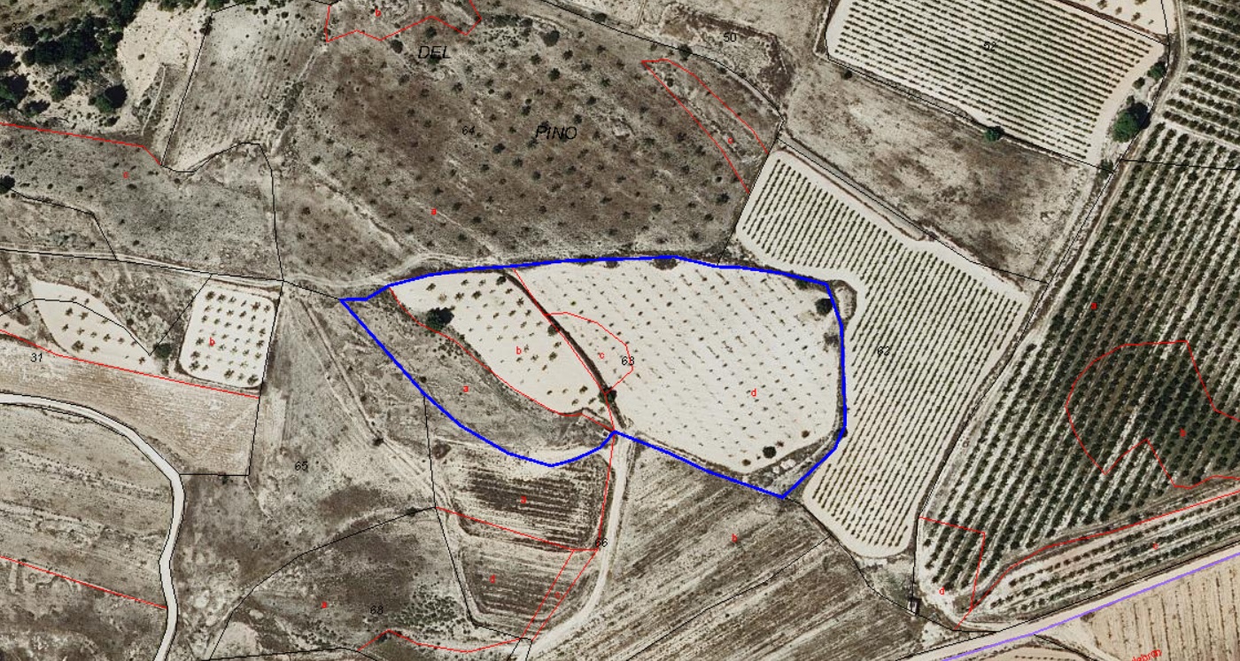 We offer this ecological almond orchard and potential building parcel located between Pinoso and Mon