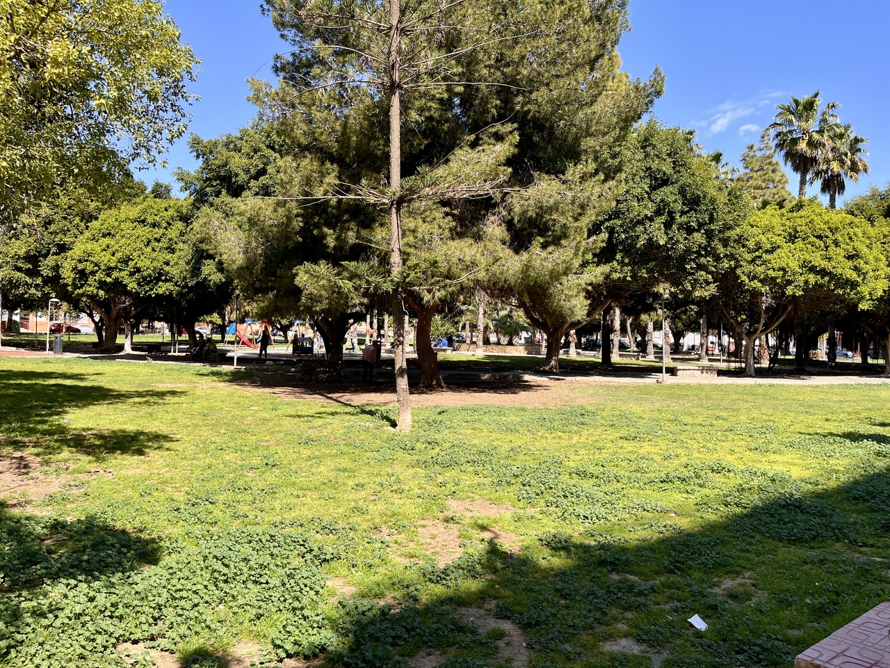 Garden in apartment for sale in Torrevieja