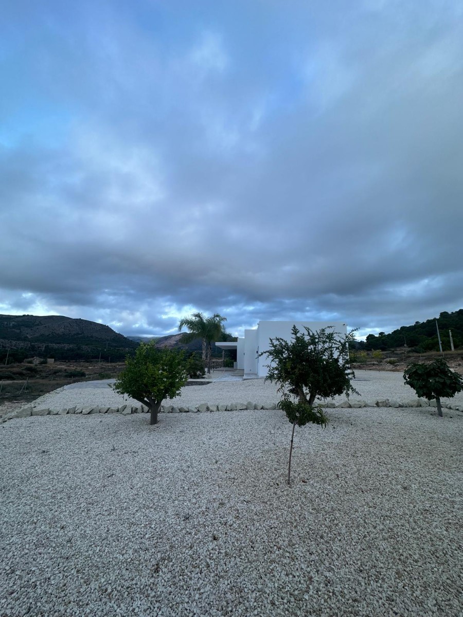 Exterior view in villa for sale in Pinoso
