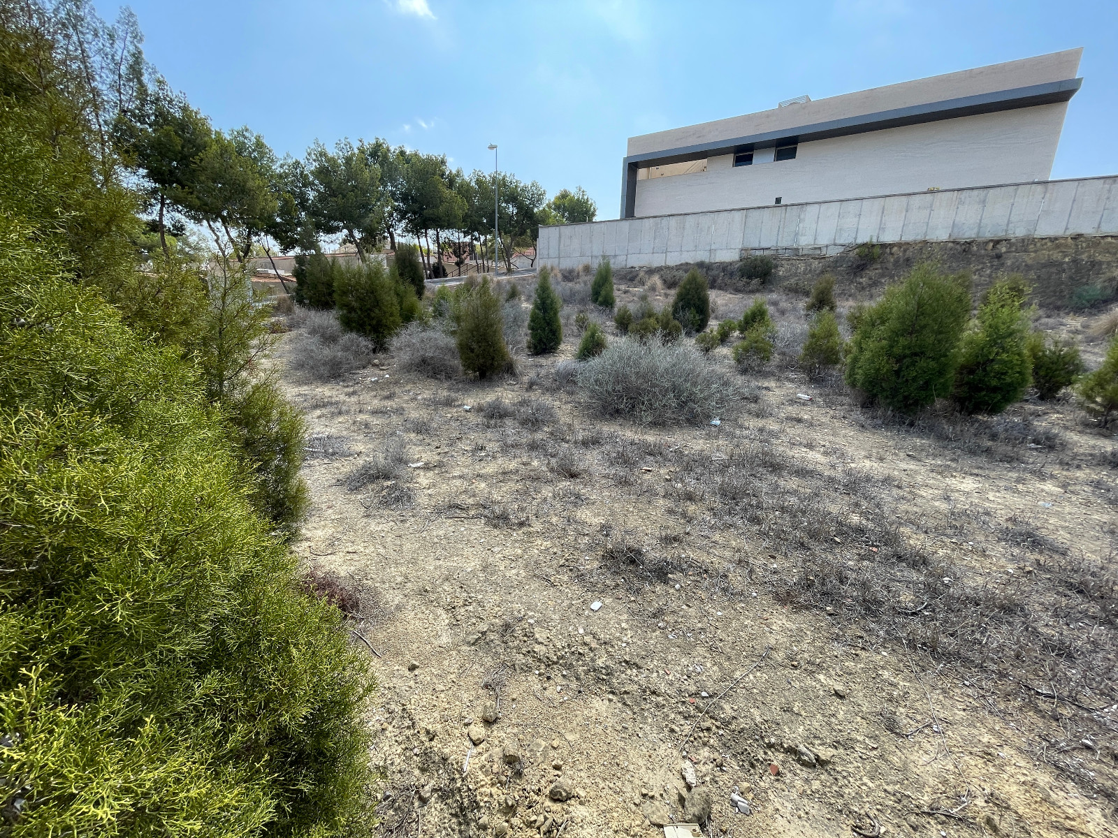 Exterior view in land for sale in Ciudad Quesada