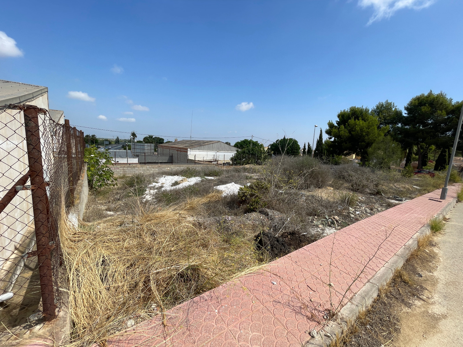 Garden in land for sale in Ciudad Quesada