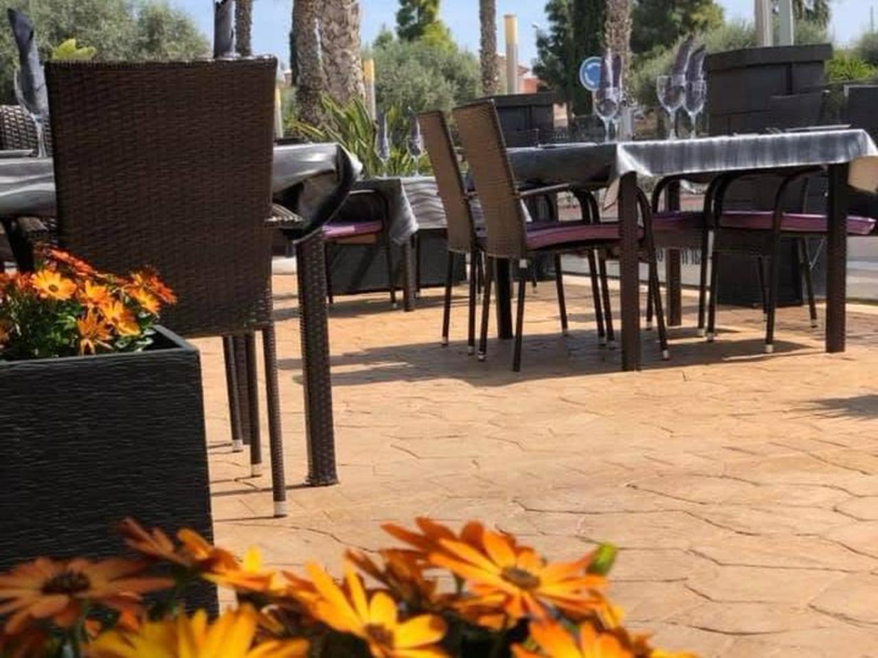 Pool area in commercial for sale in Guardamar del Segura